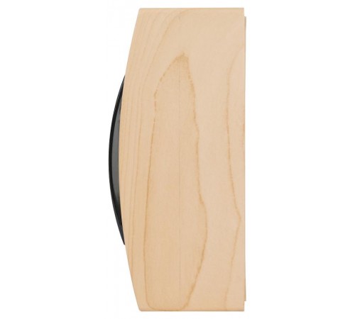 Корпус пластиковый навесной  ECO VILLAGE ЩРН-П-08 IP41 сосна   Б0055545  ЭРА