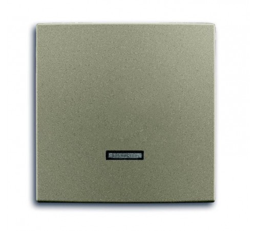 ABB Basic 55 Шампань Клавиша для светорег 6550 U-10x, 6560 U-101, 6593 U, реле 6401 U-10x, 6402 U  6599-0-2993   2CKA006599A2993  ABB