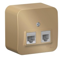 Blanca Титан О/У с изолирующей пластиной Титан Розетка 2-ая ТЛФ/КОМП, RJ45+RJ11, кат.5E  BLNIA045114  SE