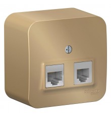 Blanca Титан О/У с изолирующей пластиной Титан Розетка 2-ая ТЛФ/КОМП, RJ45+RJ11, кат.5E  BLNIA045114  SE