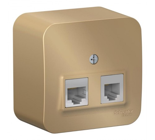 Blanca Титан О/У с изолирующей пластиной Титан Розетка 2-ая ТЛФ/КОМП, RJ45+RJ11, кат.5E  BLNIA045114  SE