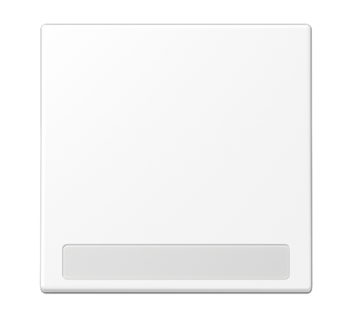 Клавиша для балансирных выключателей с полем для надписи; дюропласт; белый матовый  LS990NAWWM  Jung