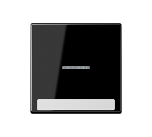 Клавиша с полем для надписи A590BFNAKO5SW Jung