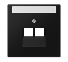 Плата (фиксация винтом) для двух модулей с полем для надписи; термопласт; черный матовый  LS969-2NAUASWM  Jung