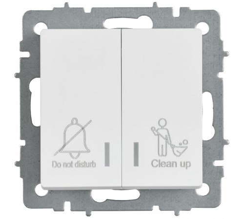 BRITE Выключатель 2-клавишный с индикацией для отелей 10А ВС10-2-9-БрАБ арктический белый   BR-V20-2-10-K91  IEK