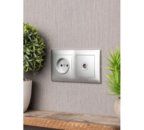 Валенсия Рамка 2-местная сталь EKF   EWM-G-302-30   EKF