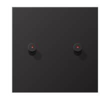 Центральная плата, 1 пост, 2 тумблера, конус c окошком; металл; Dark; серия LS  AL12-5KODK01  Jung