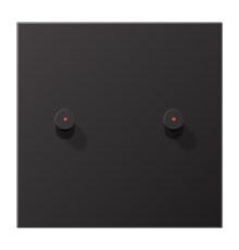 Центральная плата, 1 пост, 2 тумблера, конус c окошком; металл; Dark; серия LS  AL12-5KODK01  Jung