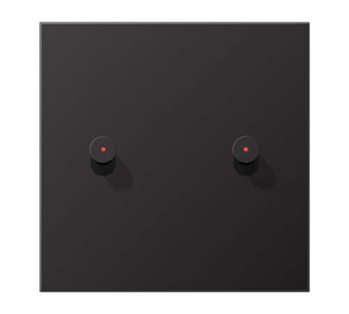 Центральная плата, 1 пост, 2 тумблера, конус c окошком; металл; Dark; серия LS  AL12-5KODK01  Jung