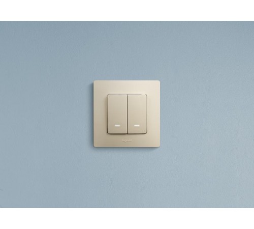 Etika Слоновая кость Выключатель 2-х клавишный с подсветкой, 10А, винтовые клеммы  672304  Legrand