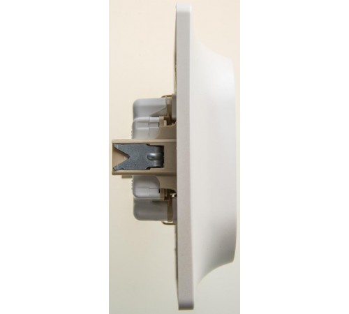 Glossa Перламутр Розетка 2-ая с заземлением со шторками, 16А (в сборе)  GSL000626  SE