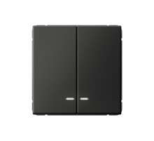 ArtGallery Базальт Выключатель 2-клавишный с подсветкой, сх.5а, 10АХ, механизм  GAL001453  SE