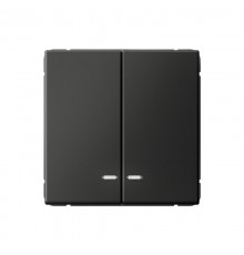 ArtGallery Базальт Выключатель 2-клавишный с подсветкой, сх.5а, 10АХ, механизм  GAL001453  SE