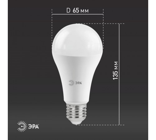 Лампа светодиодная LED A65-30W-860-E27 (диод, груша, 30Вт, холодный, E27) (10/100/1200)  Б0048017  ЭРА