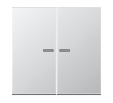 Двойная клавиша с окошками для балансирных механизмов выключателей (кнопок), в комплекте с CD95HP (крепежный элемент), возможно IP44; металл; алюминий