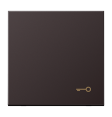 клавиша с символом двери    AL2990TD Jung