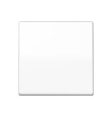 Центральная плата стандарт AS1700WW Jung