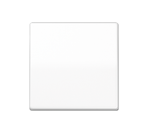 Центральная плата стандарт AS1700WW Jung