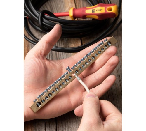 Шина PEN "ноль-земля" (8х12мм) 22 отверстия латунь крепеж по краям EKF PROxima  sn0-125-22-k  EKF