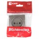 Валенсия лицевая панель розетки 1-местной б/з 10 А графит с защ. штор. EKF PROxima   ESR10-L-022-60   EKF