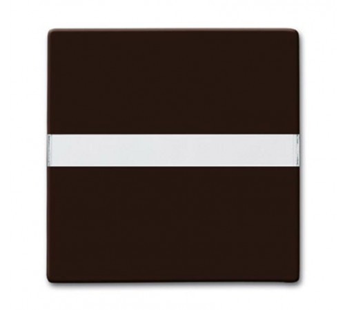 Клавиша для мех. 1-клавишного выкл./перекл./кнопки,с полем для надписи (IP44) серия Allwetter 44,цвет коричневый  1731-0-1960   2CKA001731A1960  AB