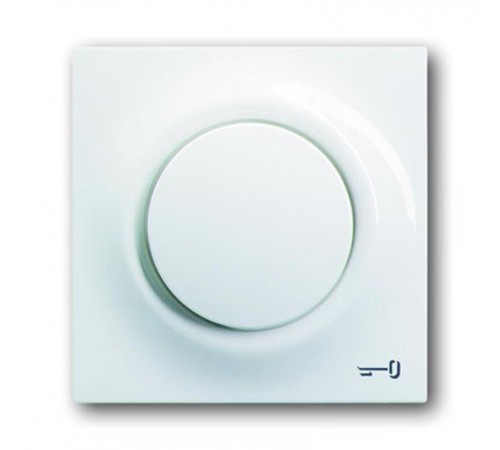 Клавиша для механизма 1-клавишного выкл./перекл./кнопки, с символом "КЛЮЧ", серия impuls, цвет альпийский белый  1753-0-4831   2CKA001753A4831  ABB