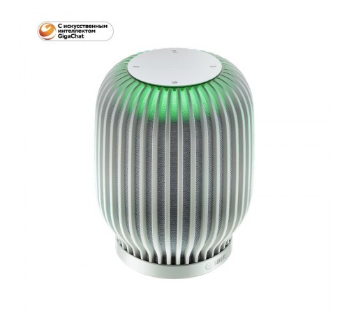 Акустическая система серии SberBoom , цвет белый  SBDV-00090c  Sber