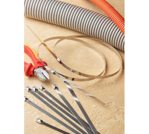 Хомут AISI 304 из нержавеющей стали, 7.9x520 (100 шт.) FlexLock PROximaplc-fl-tss-304-7.9x520EKF