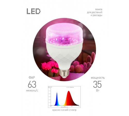 Фитолампа для растений светодиодная  GREEN LINE ФИТО-35W-PL-E27-GR красно-синего спектра 35 Вт Е27  Б0064580  ЭРА