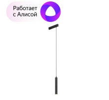 Светильник трековый подвесной DK8008-BK SMART HANG 9W DIM 2700K-6000K черный  DK8008-BK  DENKIRS