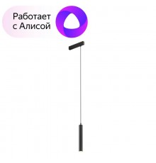 Светильник трековый подвесной DK8008-BK SMART HANG 9W DIM 2700K-6000K черный  DK8008-BK  DENKIRS