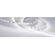 Лента светодиодная RT-20000 24V White6000 (3528, 60 LED/m, 20m)  025009  Arlight