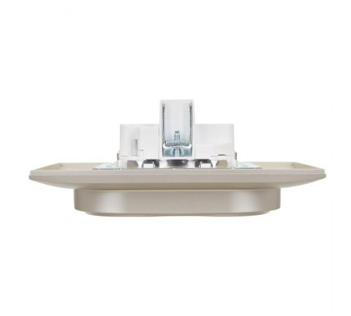 SKANDY Розетка 2-местная с з/к/ш 16А в сб. SK-R07Sh шампань  SK-R24-16-K37-F  IEK