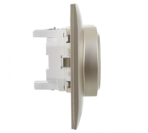 SKANDY Розетка 2-местная с з/к/ш 16А в сб. SK-R07Sh шампань  SK-R24-16-K37-F  IEK