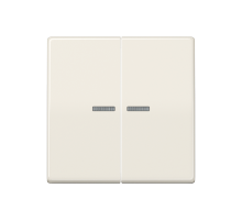 Клавиши для сдвоенного выключателя с окошком для подсветки; термопласт; слоновая кость  AS591-5KO5BF  Jung