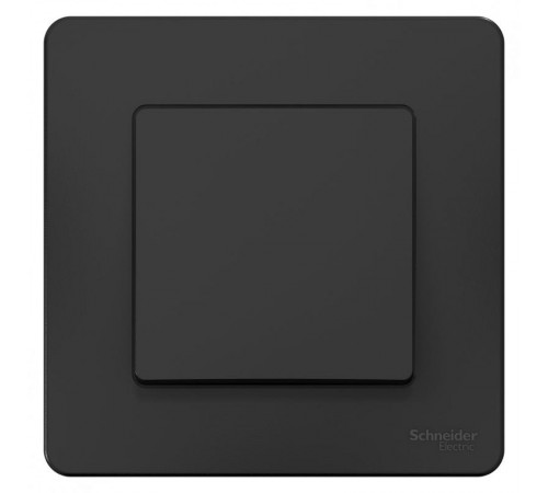 Blanca Антрацит С/У Переключатель 1-клавишный, 10А, 250B  BLNVS010606  SE