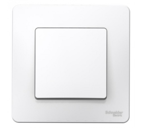 Blanca Белый С/У Выключатель 1-клавишный, 10А, 250B  BLNVS010101  SE