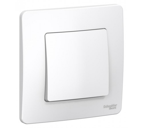 Blanca Белый С/У Выключатель 1-клавишный, 10А, 250B  BLNVS010101  SE