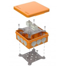Коробка огнестойкая для о/п двухкомпонентная 60-0303-FR6.0-4 Е15-Е60 (латунь) 100х100х40 IP66 4p, 6.0 мм.кв. 60-0303-FR6.0-4-Е60  Промрукав