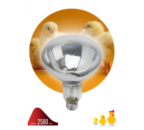 Инфракрасная лампа 250Вт ИКЗ 220-250 R127 Е27 для обогрева животных 220В  Б0055440  ЭРА