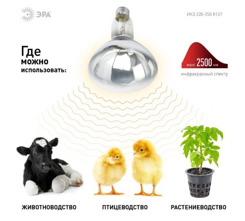 Инфракрасная лампа 250Вт ИКЗ 220-250 R127 Е27 для обогрева животных 220В  Б0055440  ЭРА