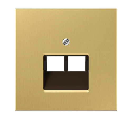 Крышка для двойных телефонных и компьютерных розеток (UAE), фиксация винтом; металл; латунь classic; Messing  ME2969-2UAC  Jung