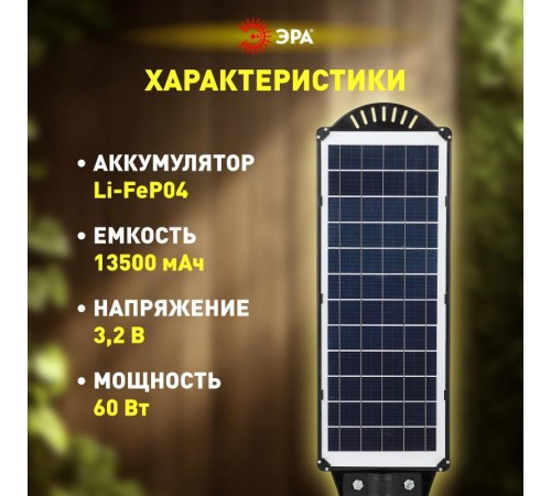 Светильник светодиодный уличный на солн.батарее SMD, 60W, с датч. движ., ПДУ,1000lm, 5000К, IP65  Б0046801  ЭРА