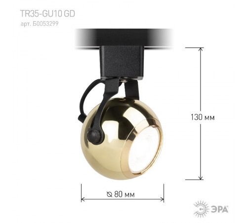 Светильник трековый однофазный TR35-GU10 GD MR16 золото под лампу  Б0053299  ЭРА