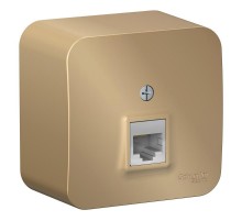 Blanca Титан О/У с изолирующей пластиной Титан Розетка компьютерная RJ45, кат.5E  BLNIA045004  SE