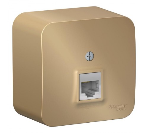 Blanca Титан О/У с изолирующей пластиной Титан Розетка компьютерная RJ45, кат.5E  BLNIA045004  SE