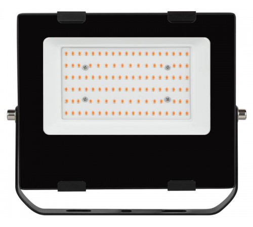 Прожектор светодиодный фито для растений красно-синий спектр FITO-50W-RB-LED  Б0046368  ЭРА