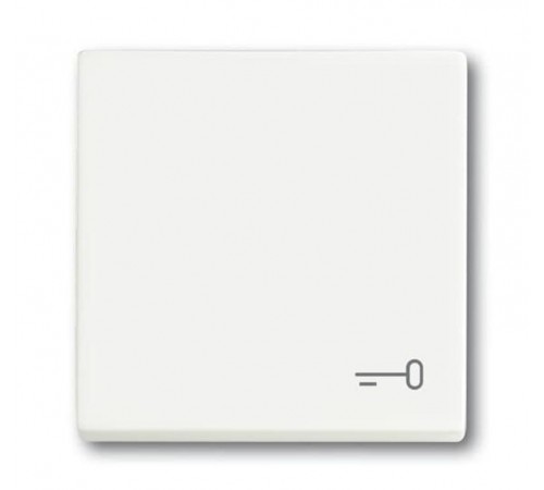 Клавиша для механизма 1-клавишного выключателя, c символом ""КЛЮЧ"" Future/Axcent/Carat/Династия, белый бархат"  2CKA001751A3201  ABB