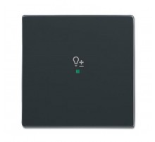 SRD-1-81 Клавиша одинарная free@home, светорегулятор, future, антрацит6220-0-0149 ABB