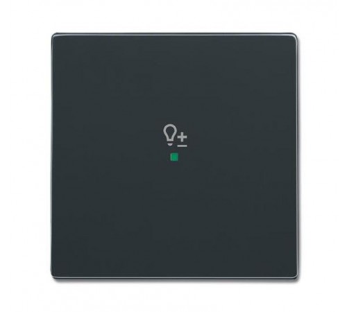 SRD-1-81 Клавиша одинарная free@home, светорегулятор, future, антрацит6220-0-0149 ABB